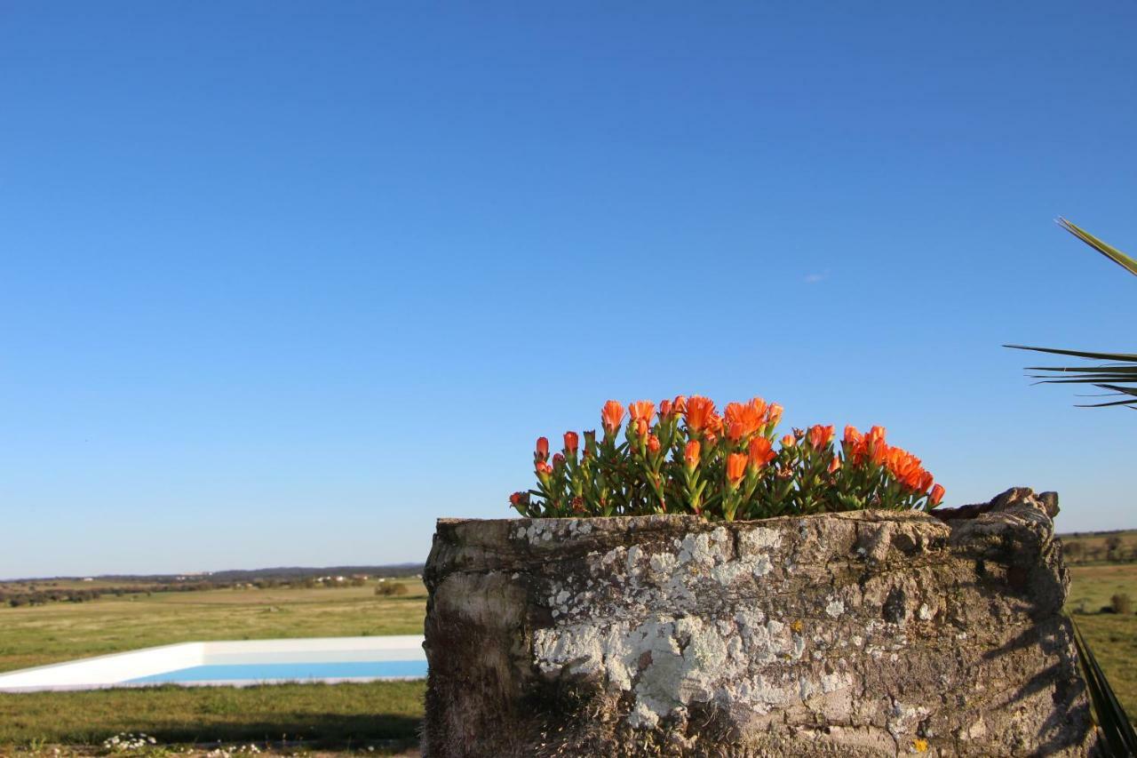 Villa Monte Da Azarujinha Azaruja Esterno foto